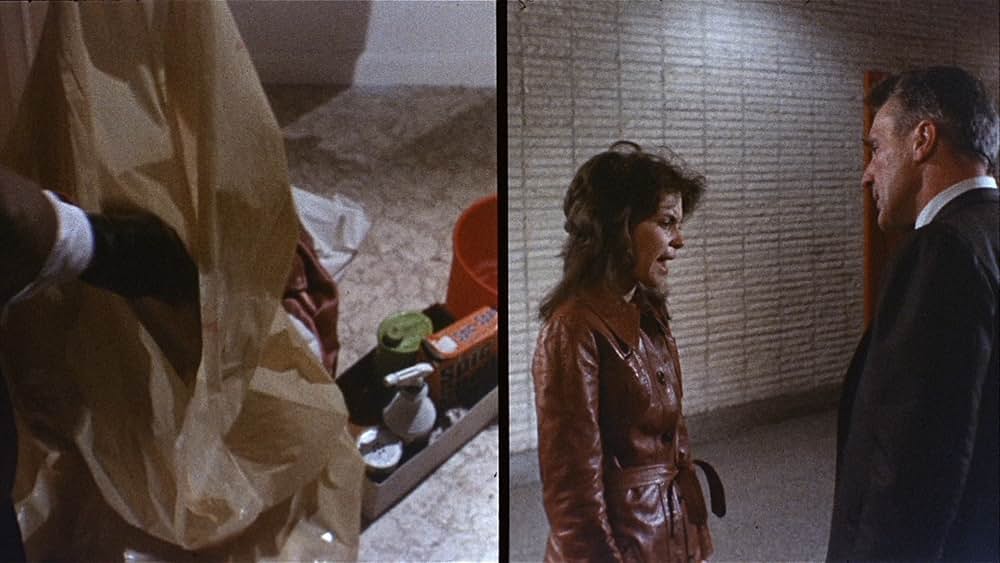 「悪魔のシスター」の画像