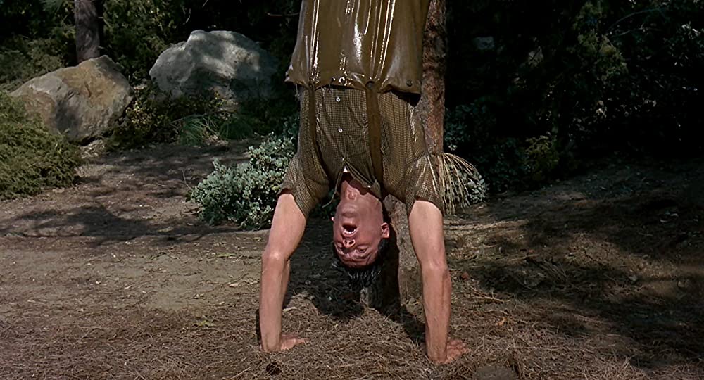 男性の好きなスポーツの画像