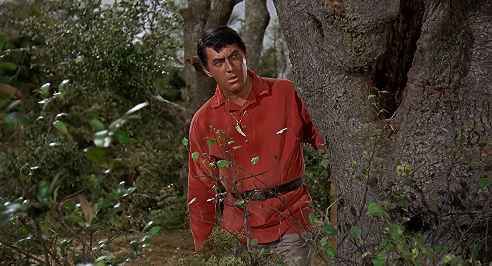 男性の好きなスポーツの画像