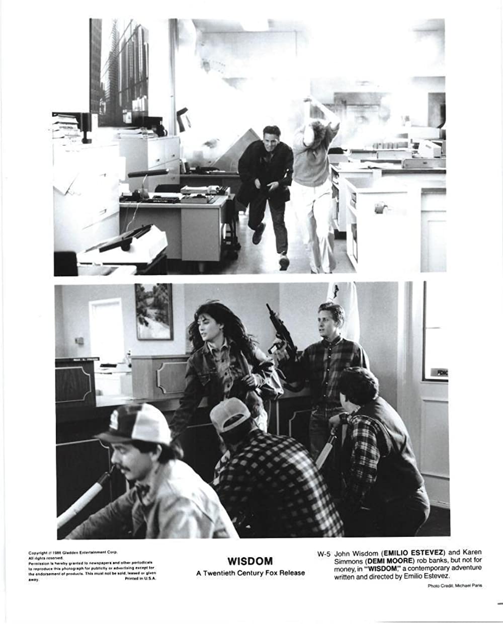 「ウィズダム 夢のかけら」デミ・ムーア & エミリオ・エステベスの画像