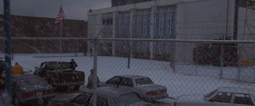 「狂っちゃいないぜ」の画像