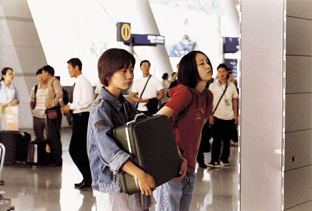 子猫をお願いの画像