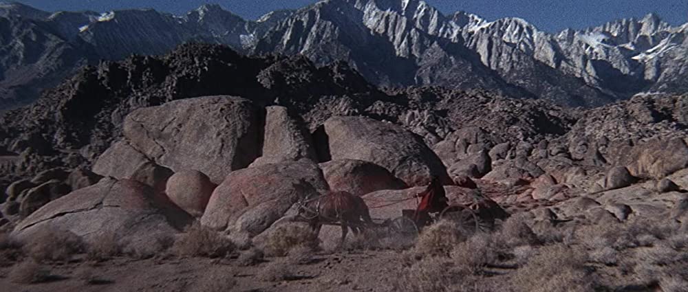 シノーラの画像