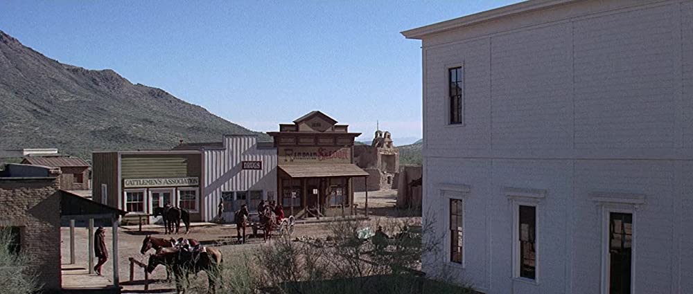 シノーラの画像