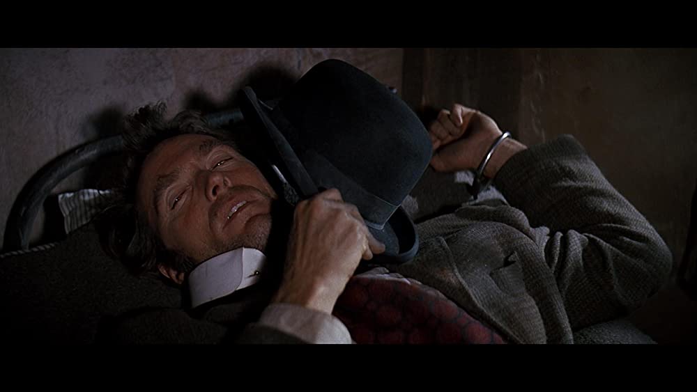 シノーラの画像