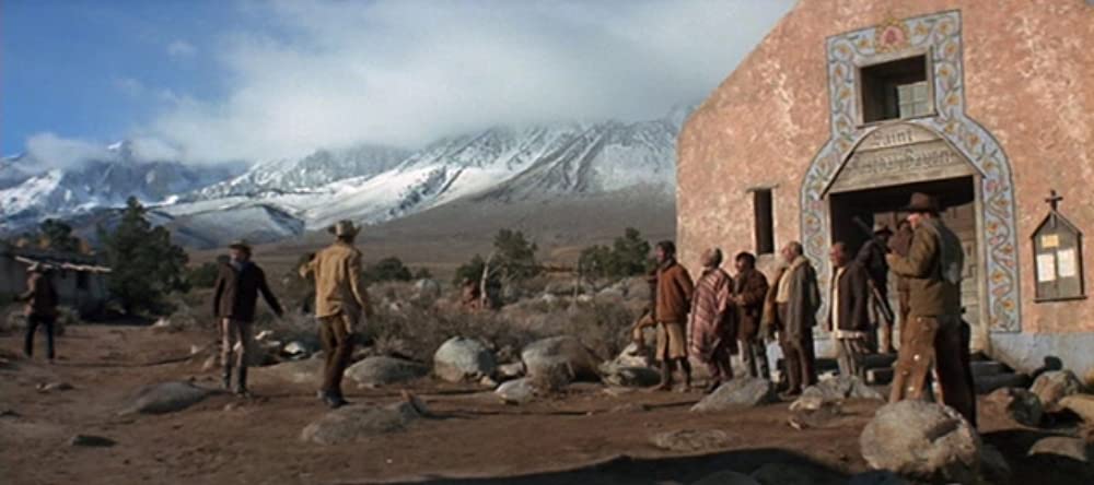 シノーラの画像