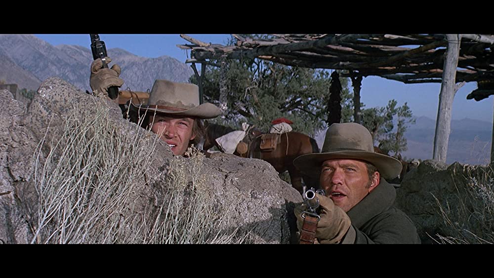 「シノーラ」ドン・ストラウドの画像