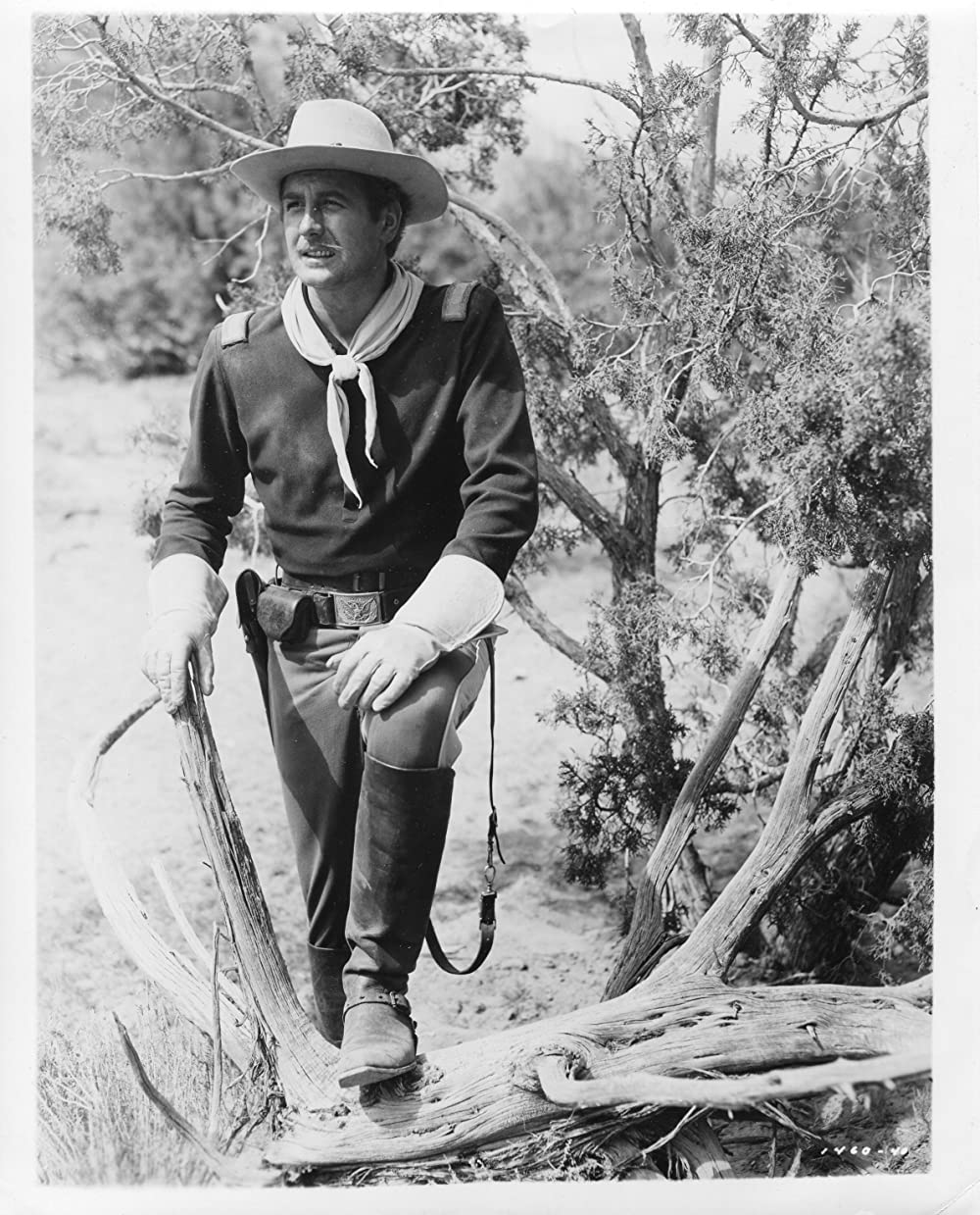 アパッチ族の最後の画像