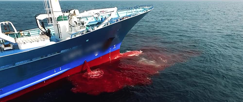 Seaspiracy 偽りのサステイナブル漁業の画像