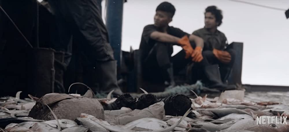 Seaspiracy 偽りのサステイナブル漁業の画像