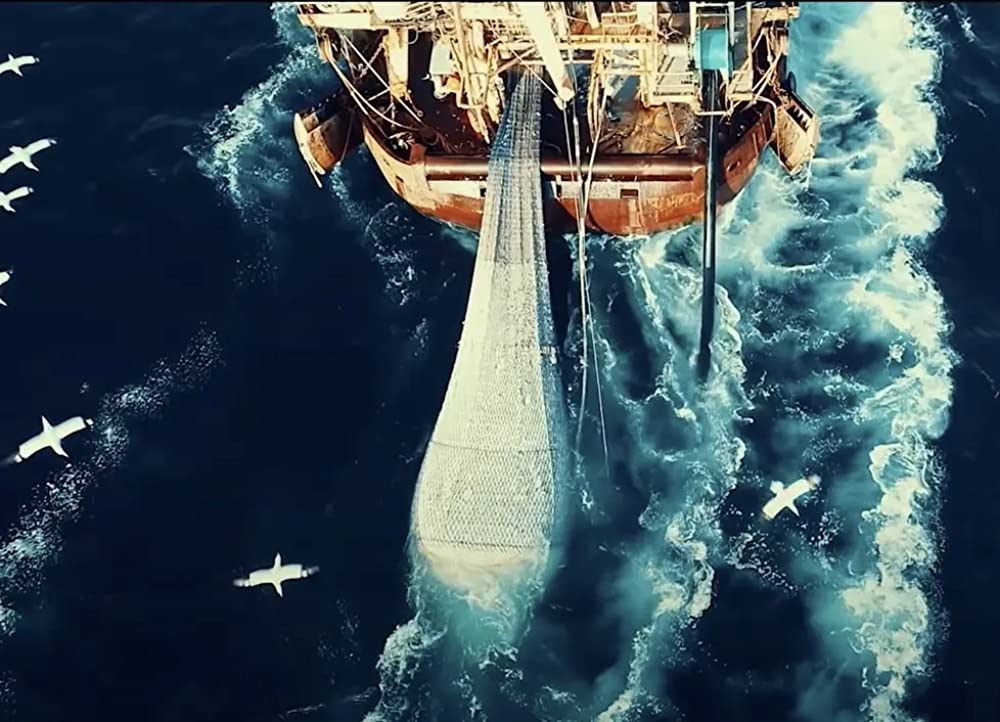 Seaspiracy 偽りのサステイナブル漁業の画像