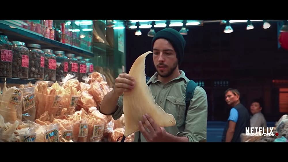 Seaspiracy 偽りのサステイナブル漁業の画像