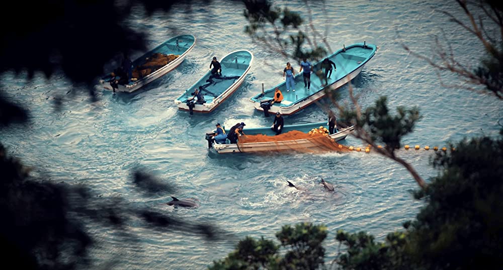 Seaspiracy 偽りのサステイナブル漁業の画像