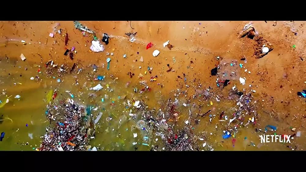 Seaspiracy 偽りのサステイナブル漁業の画像