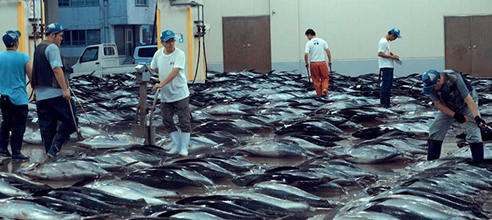 Seaspiracy 偽りのサステイナブル漁業の画像