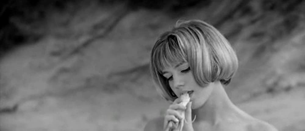 狂ったバカンスの画像