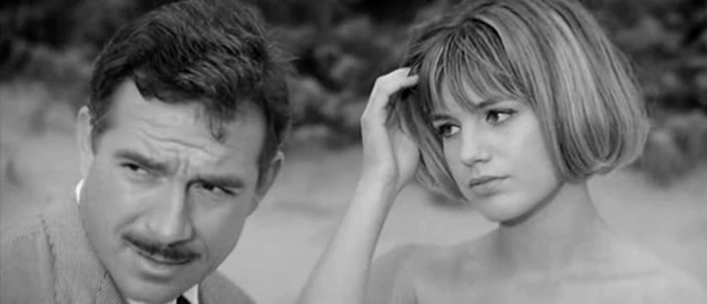 狂ったバカンスの画像