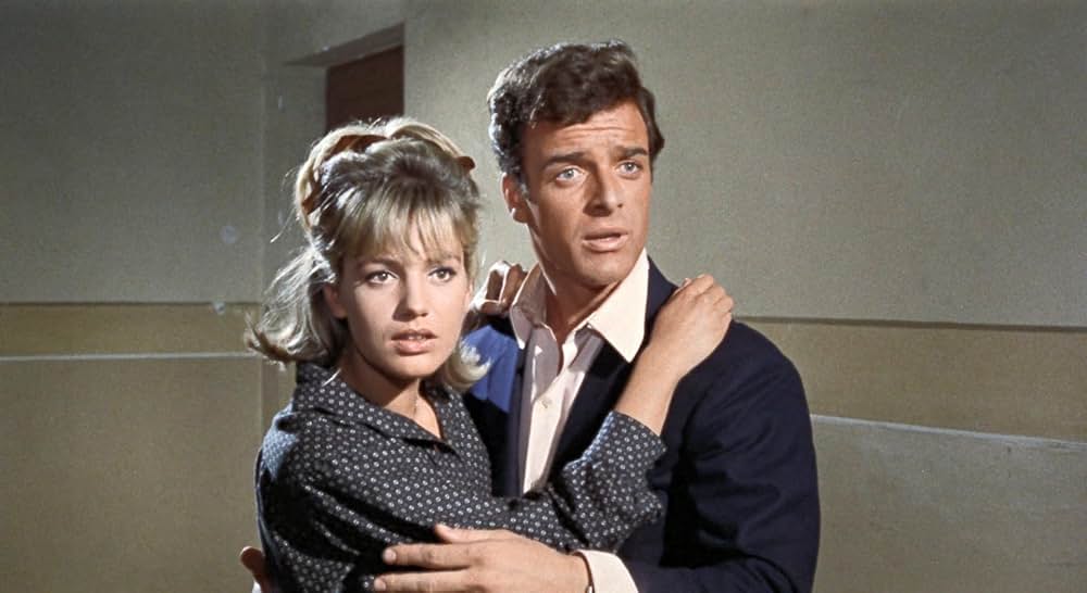 太陽の下の18才の画像