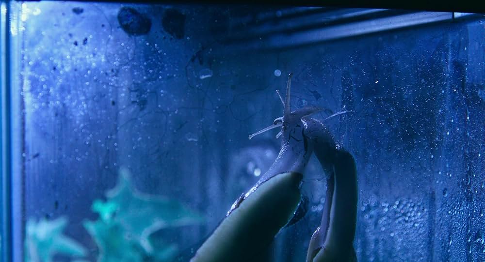 底知れぬ愛の闇の画像