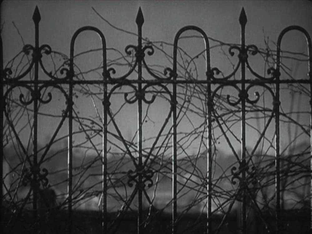 静かなる決闘の画像