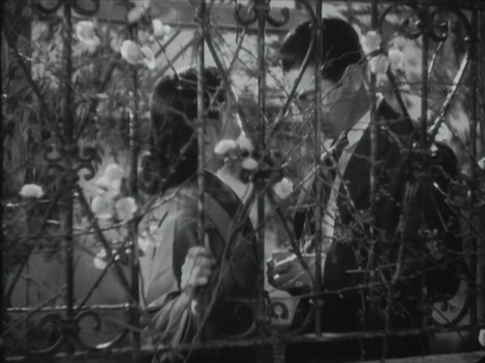 静かなる決闘の画像