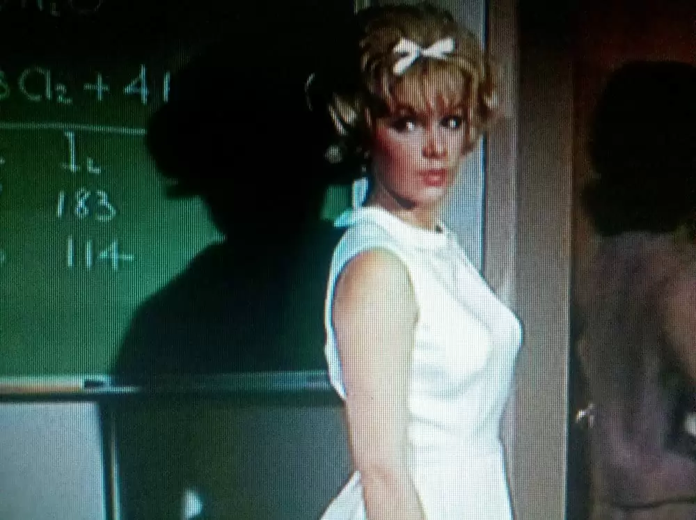 底抜け大学教授の画像