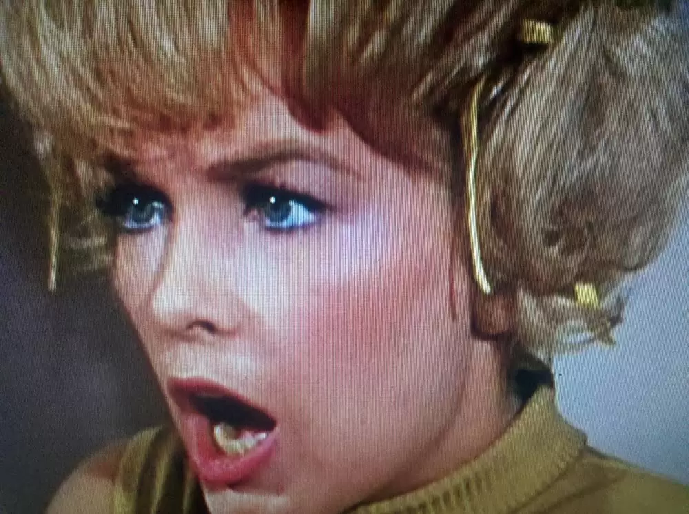 底抜け大学教授の画像