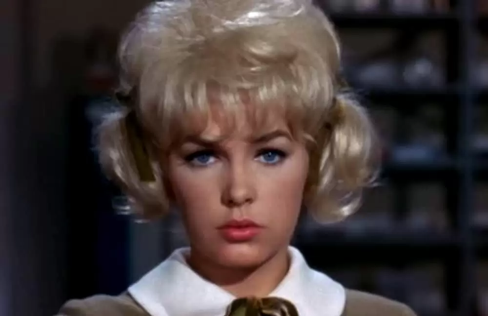 底抜け大学教授の画像