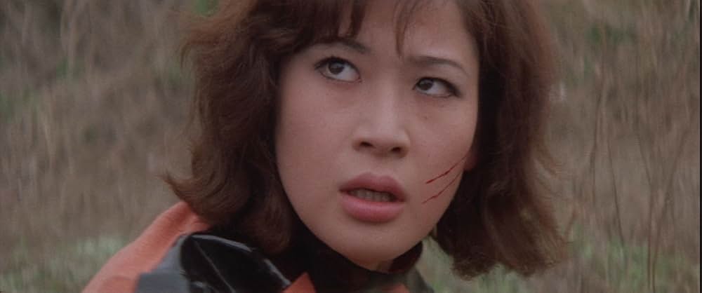 女番長 野良猫ロックの画像