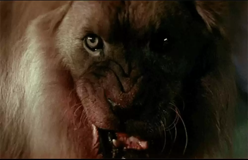 「ゴースト&ダークネス」の画像