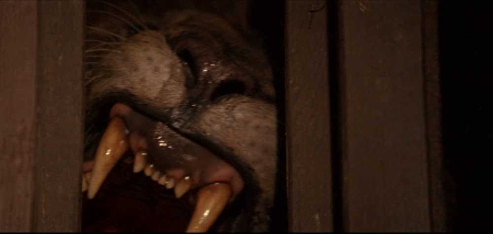 「ゴースト&ダークネス」の画像