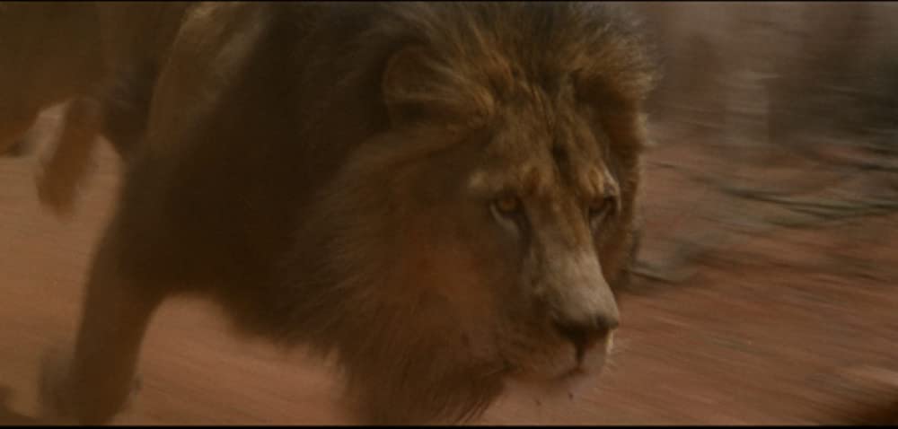 「ゴースト&ダークネス」の画像