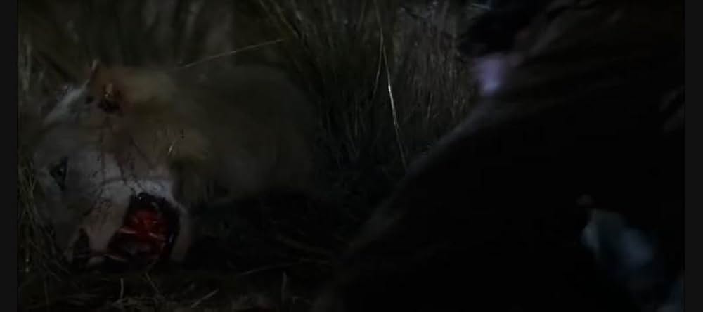 「ゴースト&ダークネス」の画像