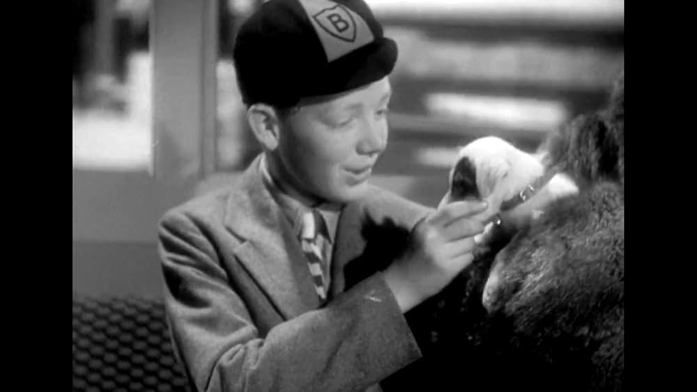 サボタージュの画像