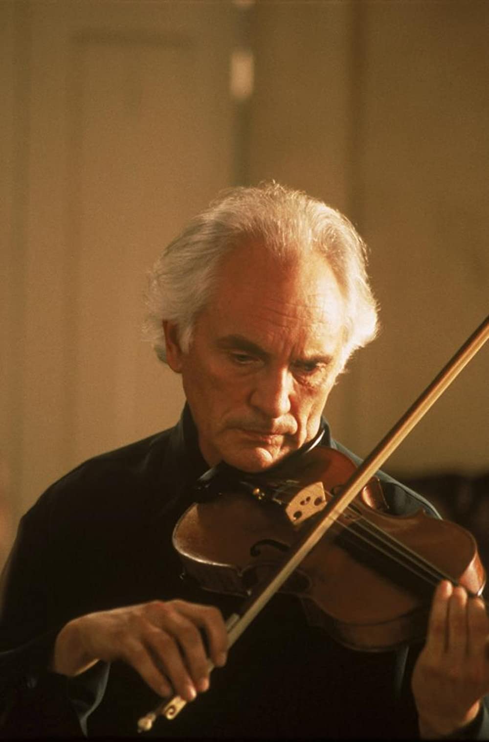 「ハード・テクニック」テレンス・スタンプの画像