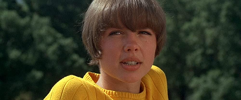 コレクションする女の画像