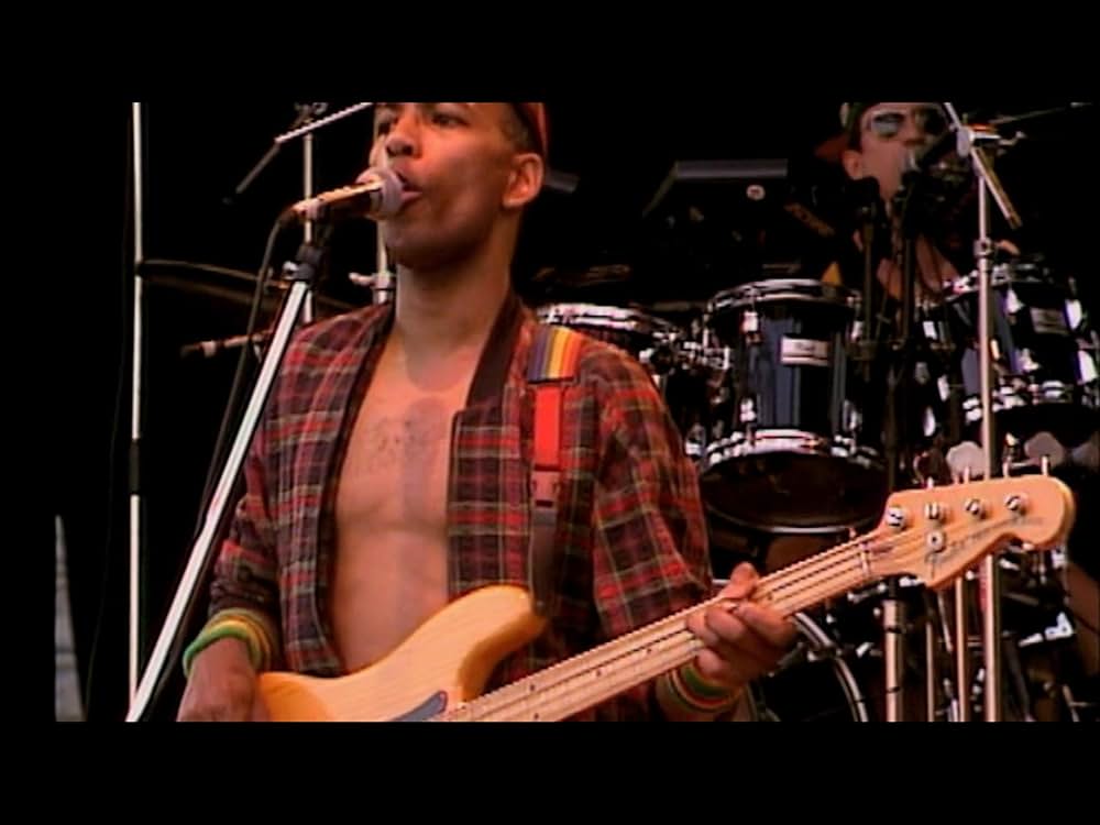 The Public Image Is Rotten ザ・パブリック・イメージ・イズ・ロットンの画像