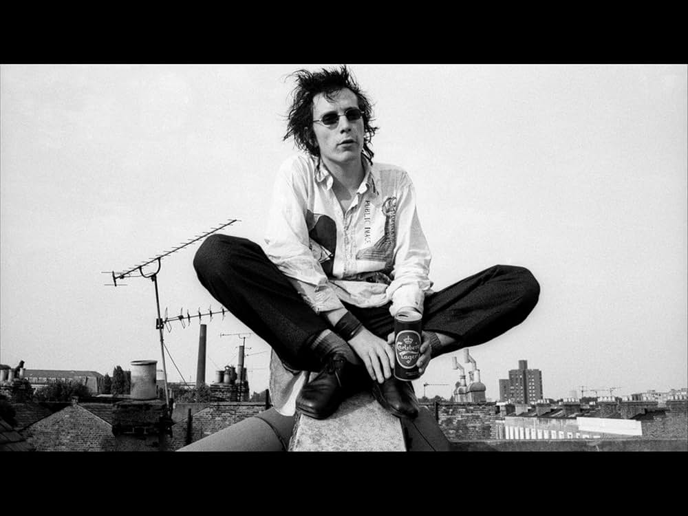 The Public Image Is Rotten ザ・パブリック・イメージ・イズ・ロットンの画像