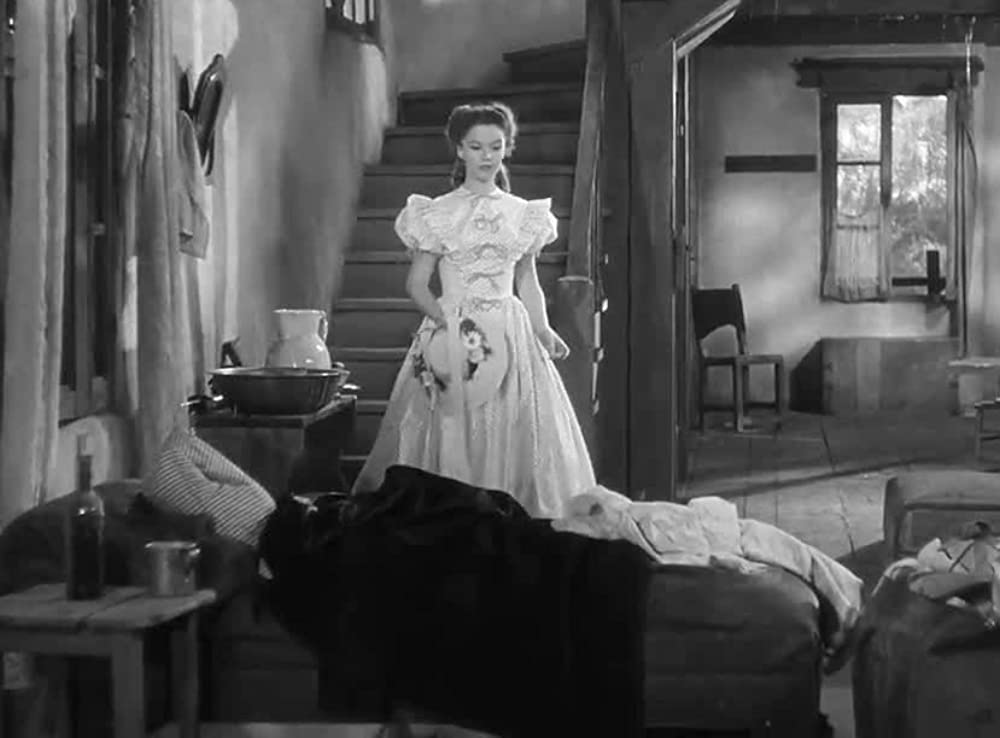 アパッチ砦の画像