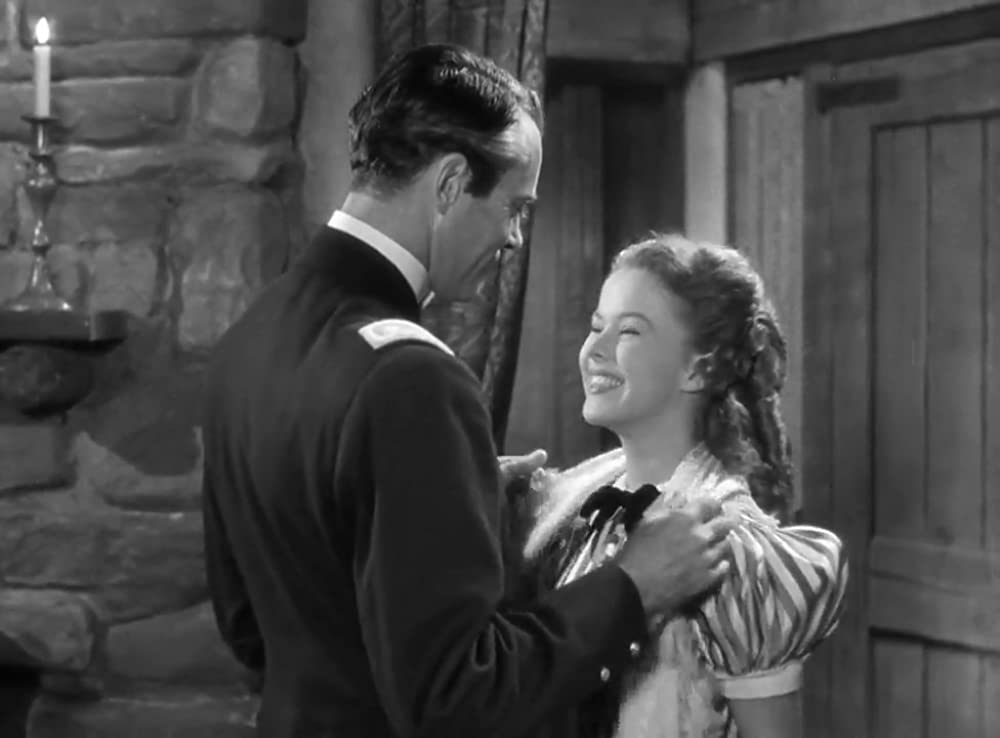 アパッチ砦の画像