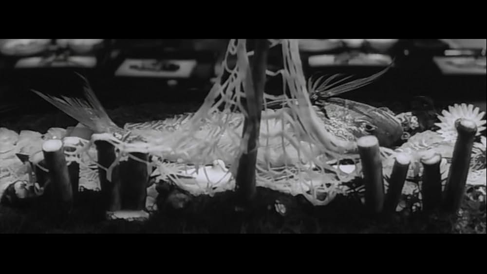 白い巨塔の画像