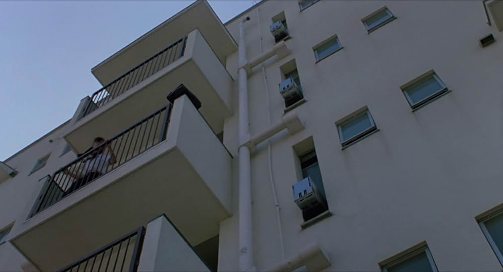 台風クラブの画像