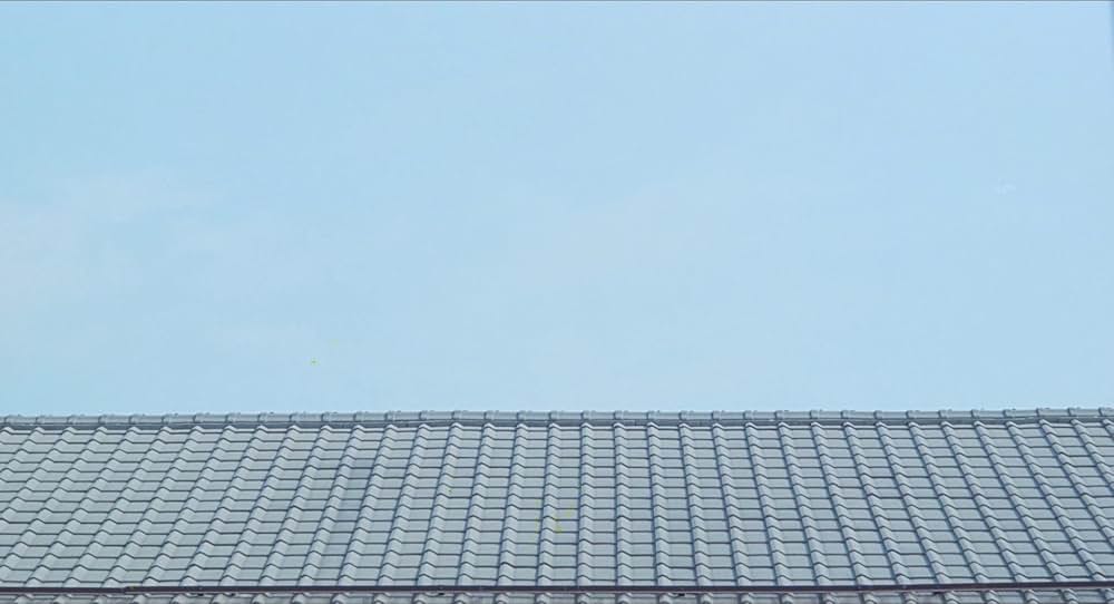 台風クラブの画像