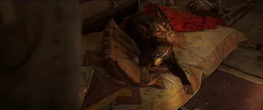 ラブ＆モンスターズの画像