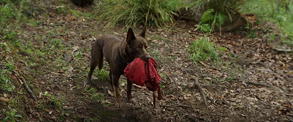 ラブ＆モンスターズの画像
