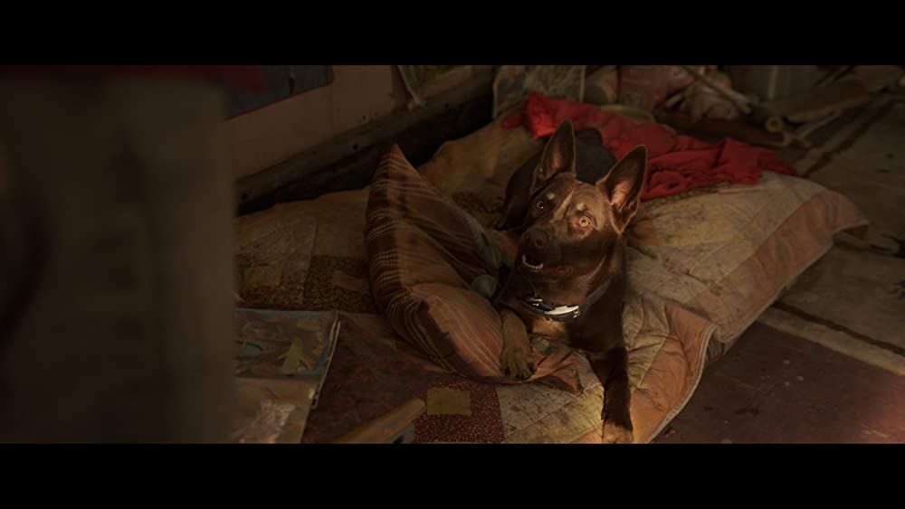 ラブ＆モンスターズの画像