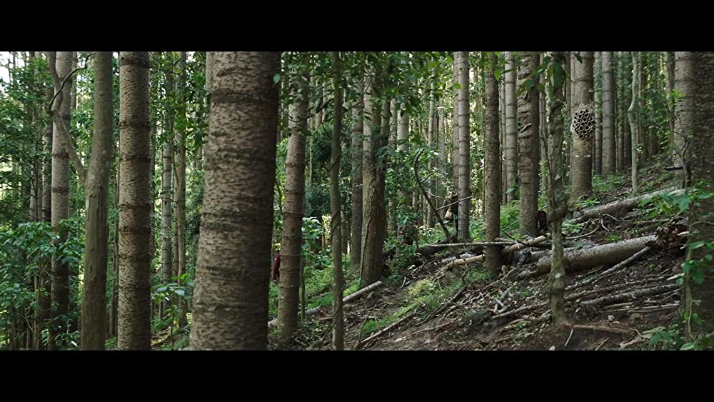 ラブ＆モンスターズの画像