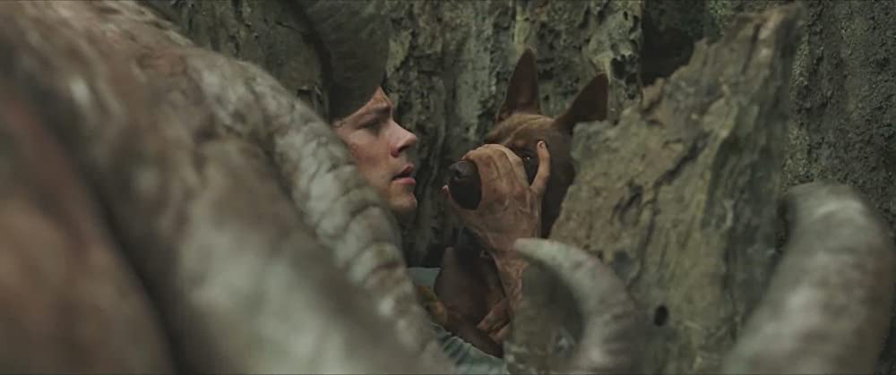 「ラブ＆モンスターズ」ディラン・オブライエンの画像