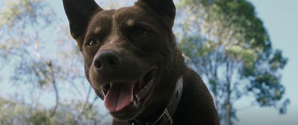 ラブ＆モンスターズの画像