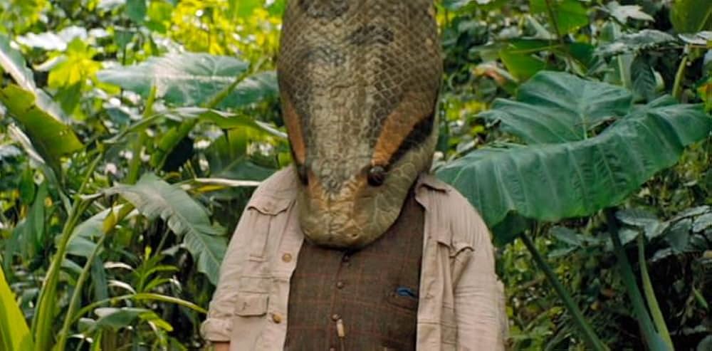 ジュマンジ／ネクスト・レベルの画像